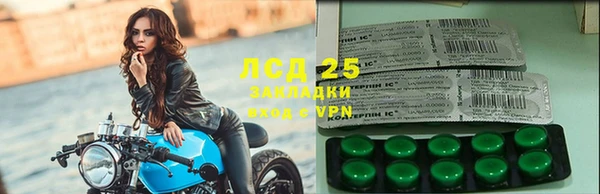 ГАЛЛЮЦИНОГЕННЫЕ ГРИБЫ Балабаново