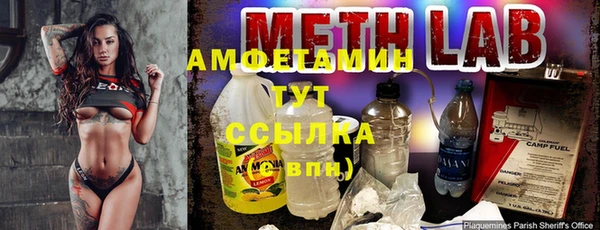 ГАЛЛЮЦИНОГЕННЫЕ ГРИБЫ Балабаново