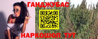 прущие грибы Гусев